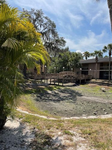 7503 Pitch Pine Cir, Tampa FL 33617-8551 exterior