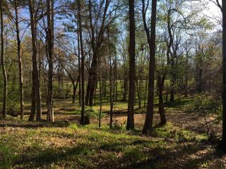 4 Club Dr, Keswick, VA 22947