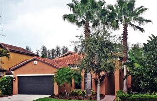 8258 Dunham Station Dr, Tampa FL  33647-3342 exterior