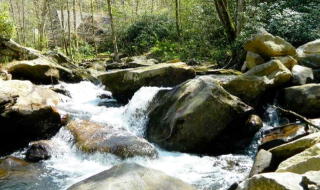 1899 Cullowhee Forest Rd, Cullowhee, NC 28723