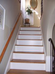 1170 Castleton Rd, Cleveland OH  44121-1522 exterior