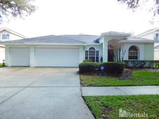 17715 Hampshire Oak Dr, Tampa FL  33647-2545 exterior
