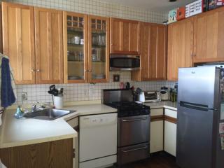 900 Fletcher St, Chicago IL  60657-4456 exterior