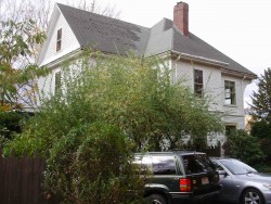 1 Rockland Pl, Newton, MA 02464-1214