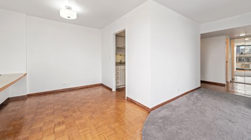 1460 Sandburg Ter, Chicago IL  60610-7688 exterior