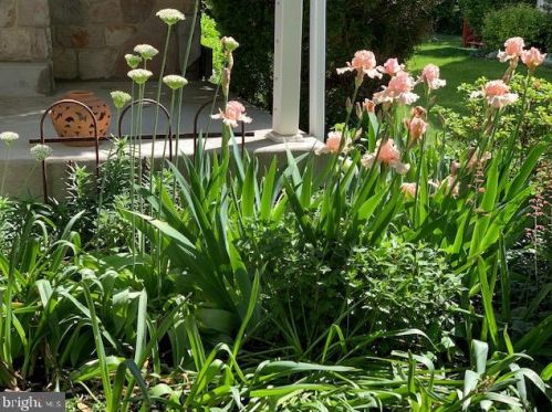 50 Steeplechase Cir, Chester PA 19014-1463 exterior