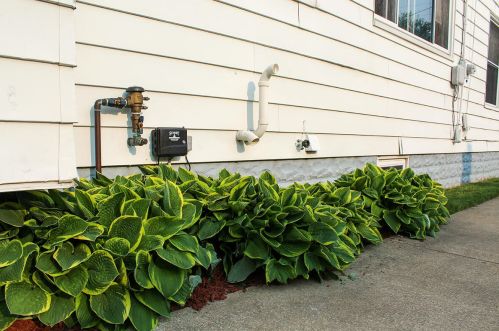 1423 Mason St, Grand Rapids MI 49503-1342 exterior