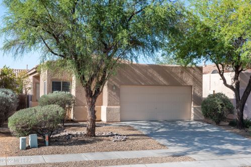 1867 River Otter Dr, Tucson, AZ 85704-1754