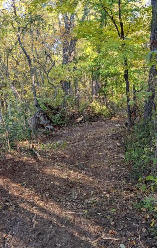 55322 Territorial Rd, Decatur MI 49045-9021 exterior