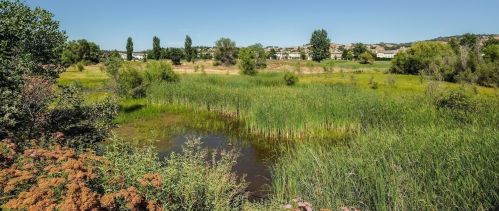 1006 Esplanade Cir, Folsom CA 95630-7360 exterior