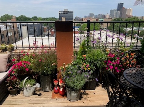 1215 Gunnison St, Chicago IL 60640-4707 exterior