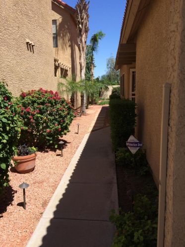 4686 Shannon St, Chandler AZ  85226-2059 exterior