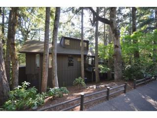 3830 Vine Maple St, Eugene, OR 97405-4479