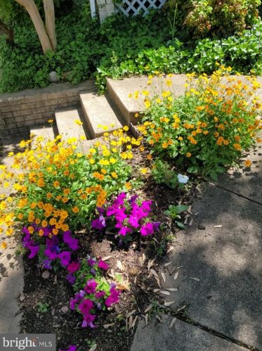 5849 Monticello Rd, Alexandria VA 22303-1301 exterior