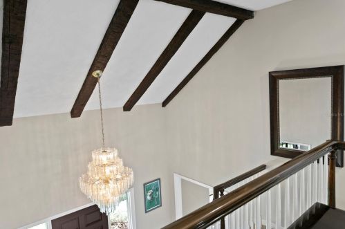 708 Grand Cir, Tampa FL  33617-7844 exterior