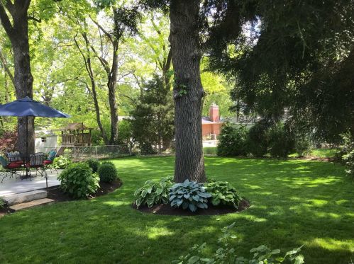 1236 Selma Ave, Saint Louis MO 63119-4723 exterior