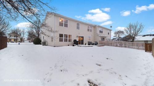 17209 Dundee Dr, Joliet IL 60403-1182 exterior