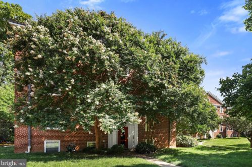 3941 Langley Ct, Washington DC 20016-5535 exterior