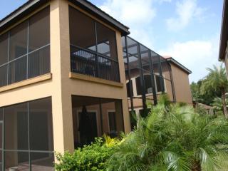 20329 Chestnut Grove Dr, Tampa FL  33647-3345 exterior