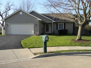 1315 Lawrence Ct, Aurora IL  60504-6858 exterior