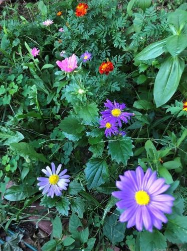 12 Monroe St, North Haven CT 06473-1813 exterior