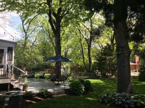 1236 Selma Ave, Saint Louis MO 63119-4723 exterior