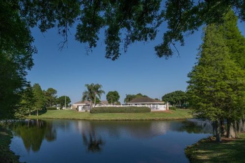 11572 Misty Isle Ln, Riverview FL 33579-9704 exterior