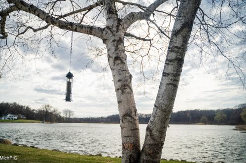 4206 Lk Frst Dr, Kalamazoo MI 49008-3309 exterior