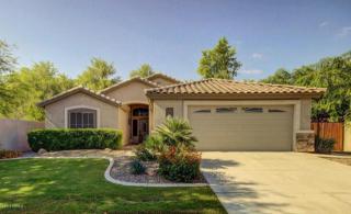 225 Goldfinch Way, Chandler, AZ 85286-4549