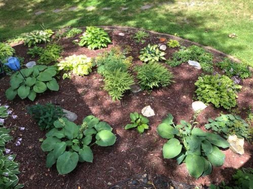 415 Brk Ave, Saint Paul MN 55109-2014 exterior