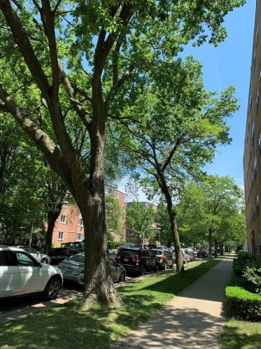 6121 Damen Ave, Chicago IL  60636-2132 exterior