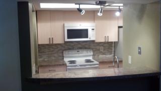 1706 Cinnamon Path, Austin TX  78704-4873 exterior