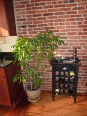 1441 Boyle St, Baltimore MD  21230-5112 exterior