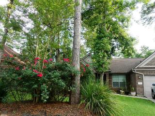 31 Barn Lantern Pl, Spring TX  77382-1152 exterior