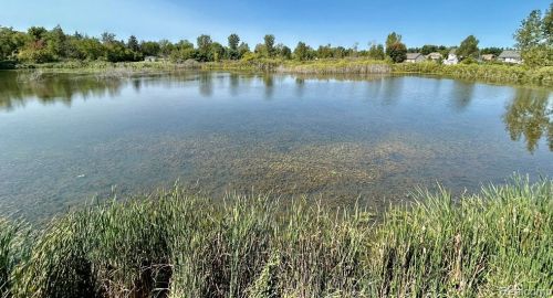 10478 Pne Vly Dr, Grand Blanc MI 48439-2677 exterior