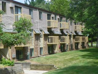 1842 11th St, Kalamazoo MI  49009-1706 exterior