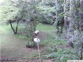 809 Briarwood Dr, Bessemer, AL 35022-4577