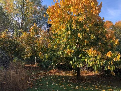 10 Farm Mdw Ln, Montgomery NY 12549-2100 exterior