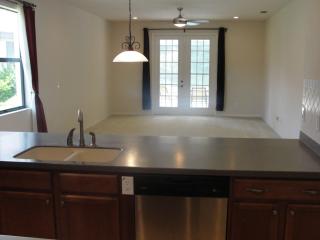 20322 Chestnut Grove Dr, Tampa FL  33647-3344 exterior