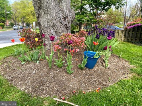 2700 Parker Ave, Silver Spring MD 20902-2645 exterior