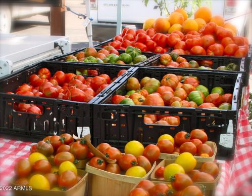 13036 46 St, Phoenix AZ 85044-4019 exterior