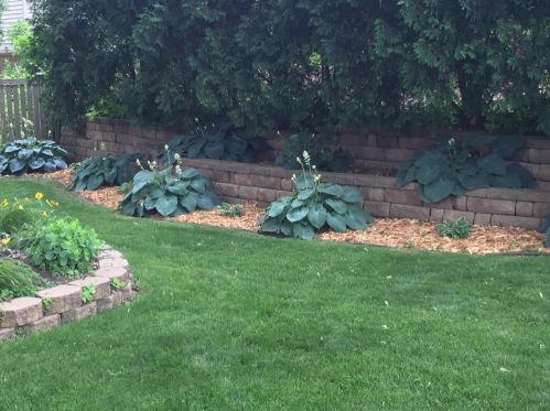 689 Cottage Ave, Saint Paul MN 55117-4103 exterior