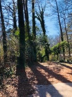 3706 Bolfair Dr, Atlanta GA 30331-3304 exterior