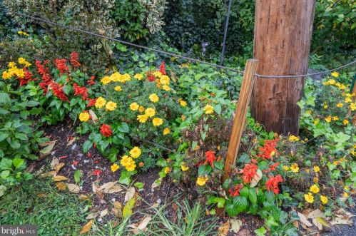 4257 Boone St, Philadelphia PA 19128-5003 exterior