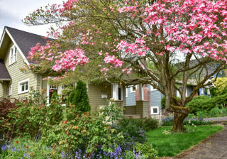 5515 28th Ave, Seattle WA  98105-5515 exterior