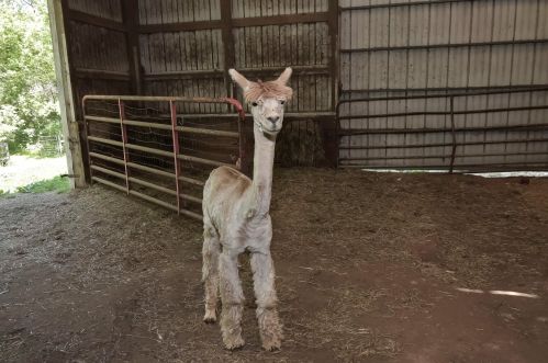 7711 Vly Hl Rd, Bull Valley IL 60098-7873 exterior