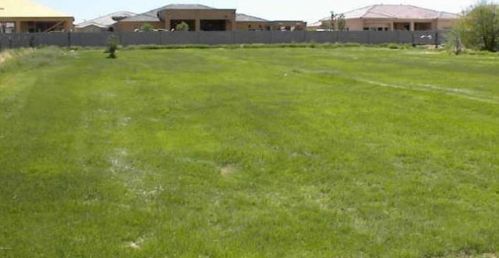 22239 118th St, Chandler AZ  85249-2806 exterior