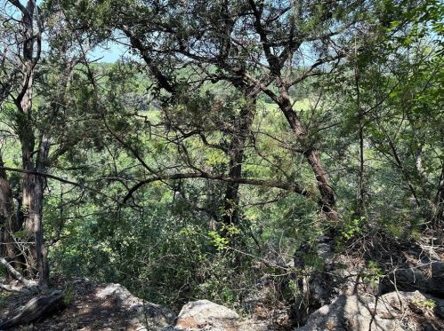 1100 Crystal Creek Dr, Austin TX  78746-4712 exterior