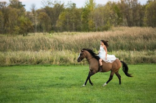 1488 Copeland Rd, Maple Plain MN 55359-9537 exterior