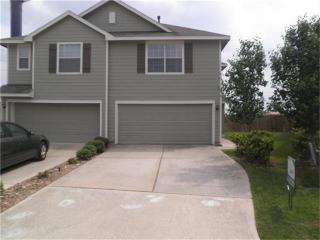 17123 Oakwood Chase Dr, Spring TX  77379-5163 exterior